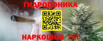 a pvp Апрелевка