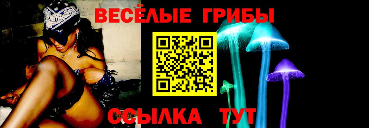 Воскресенск  Псилоцибиновые грибы Magic Shrooms  Вход с VPN 